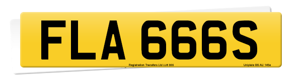 Registration number FLA 666S